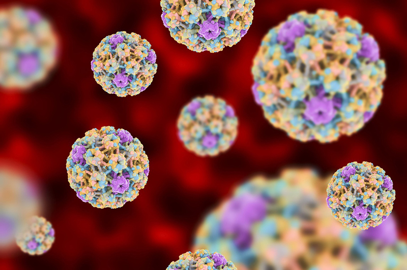 Virus HPV gây ung thư cổ tử cung là kẻ thù của cơ thể